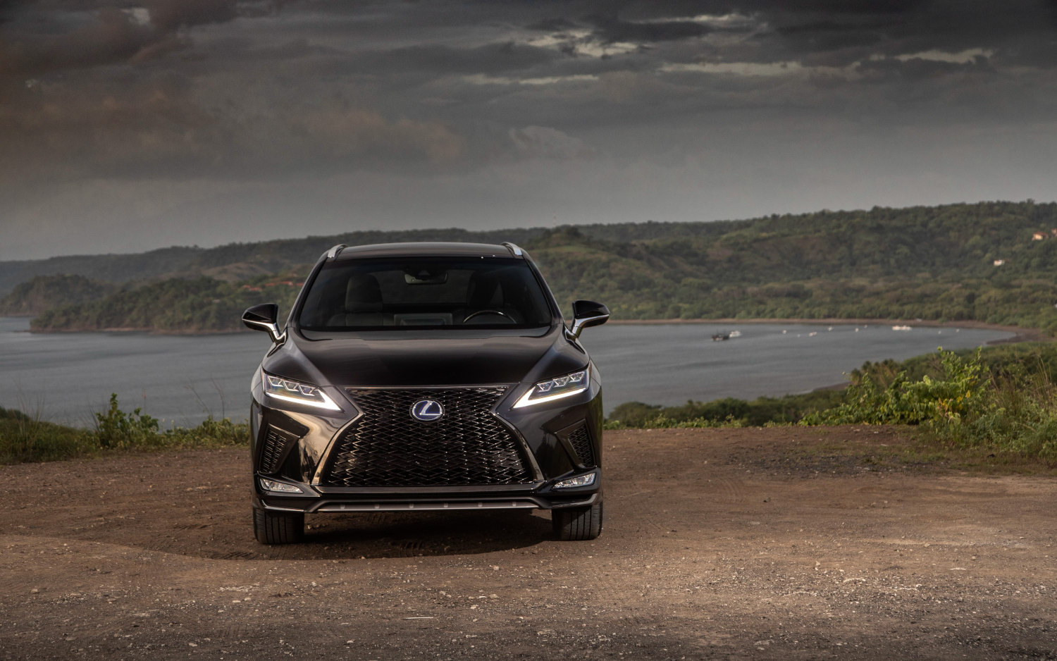 Lexus RX 450h F SPORT 2020 SUV Drive